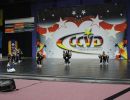 CCVD DM Riesa 17.05.2015_87