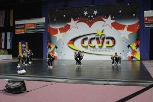 CCVD DM Riesa 17.05.2015_87