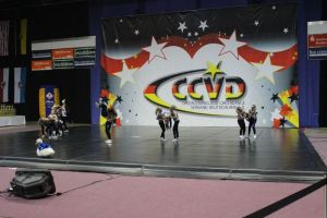 CCVD DM Riesa 17.05.2015_89