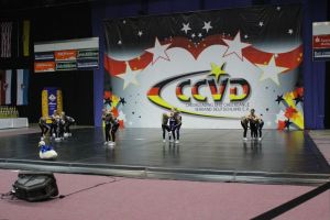 CCVD DM Riesa 17.05.2015_90