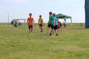 Schwanebeck 06.06.2015_118