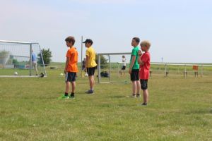 Schwanebeck 06.06.2015_98