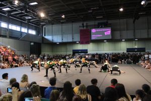 Berliner StreetDanceMeisterschaft 04.07.2015_191