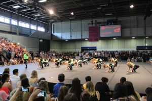 Berliner StreetDanceMeisterschaft 04.07.2015_86