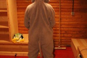 DanceCamp SD Blossin 12.-14.02.2016_145