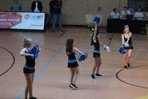 Basketball 02.04.2016_115