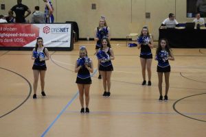 Basketball 02.04.2016_169