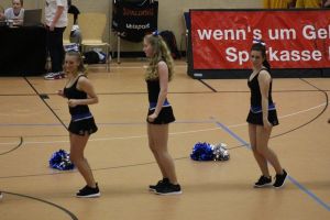 Basketball 02.04.2016_193