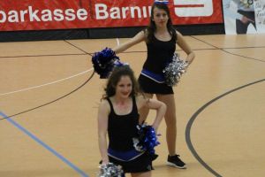 Basketball 02.04.2016_208