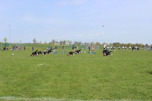 Don Giovanni Cup 30.04.2016_77