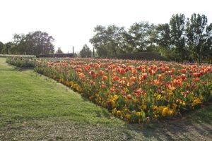 Meisterschaft SoHappy 14.05.2016_156