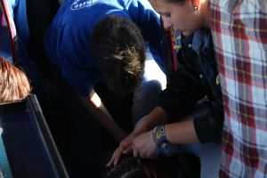 Street Dance Factory Gera 11.06.2016_749