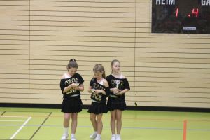 SwansDanceDay 05.11.2016_225