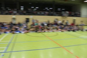 SwansDanceDay 05.11.2016_229