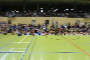 SwansDanceDay 05.11.2016_230