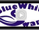 Video Blue White Swans 2021