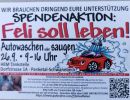 Feli_soll_leben_3