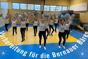 Handballunterstützung