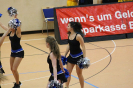 Basketball Bernau 31.01.2016_195